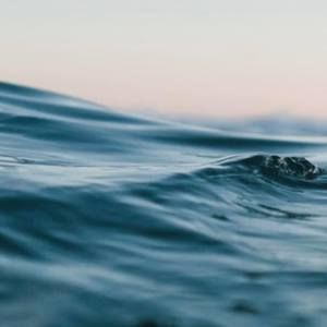 Meet your Posher, Lexi